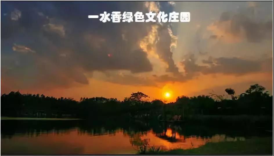 微信圖片_20180703152959.jpg